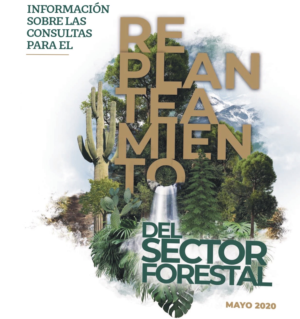 Tríptico información sobre las consultas para el replanteamiento del sector forestal