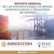 https://www.gob.mx/cms/uploads/document/main_image/85711/thumb_DAE_Exportaciones_de_bienes_agro_y_pesqueros_de_mex.jpg