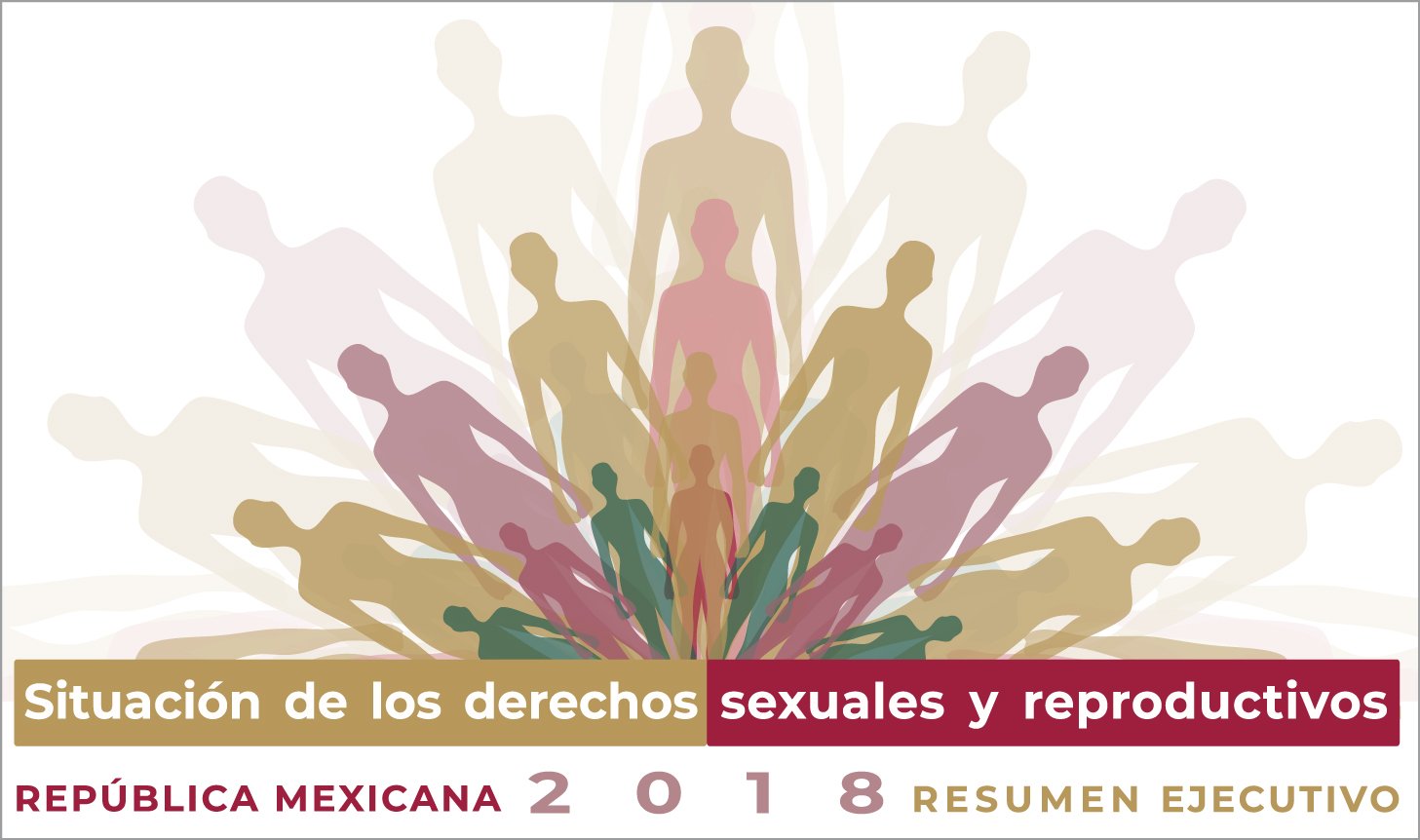 Situación de los derechos sexuales y reproductivos. 
República Mexicana, 2018. Resumen Ejecutivo
