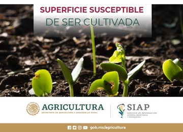 Superficie susceptible de ser cultivada 2019-2020