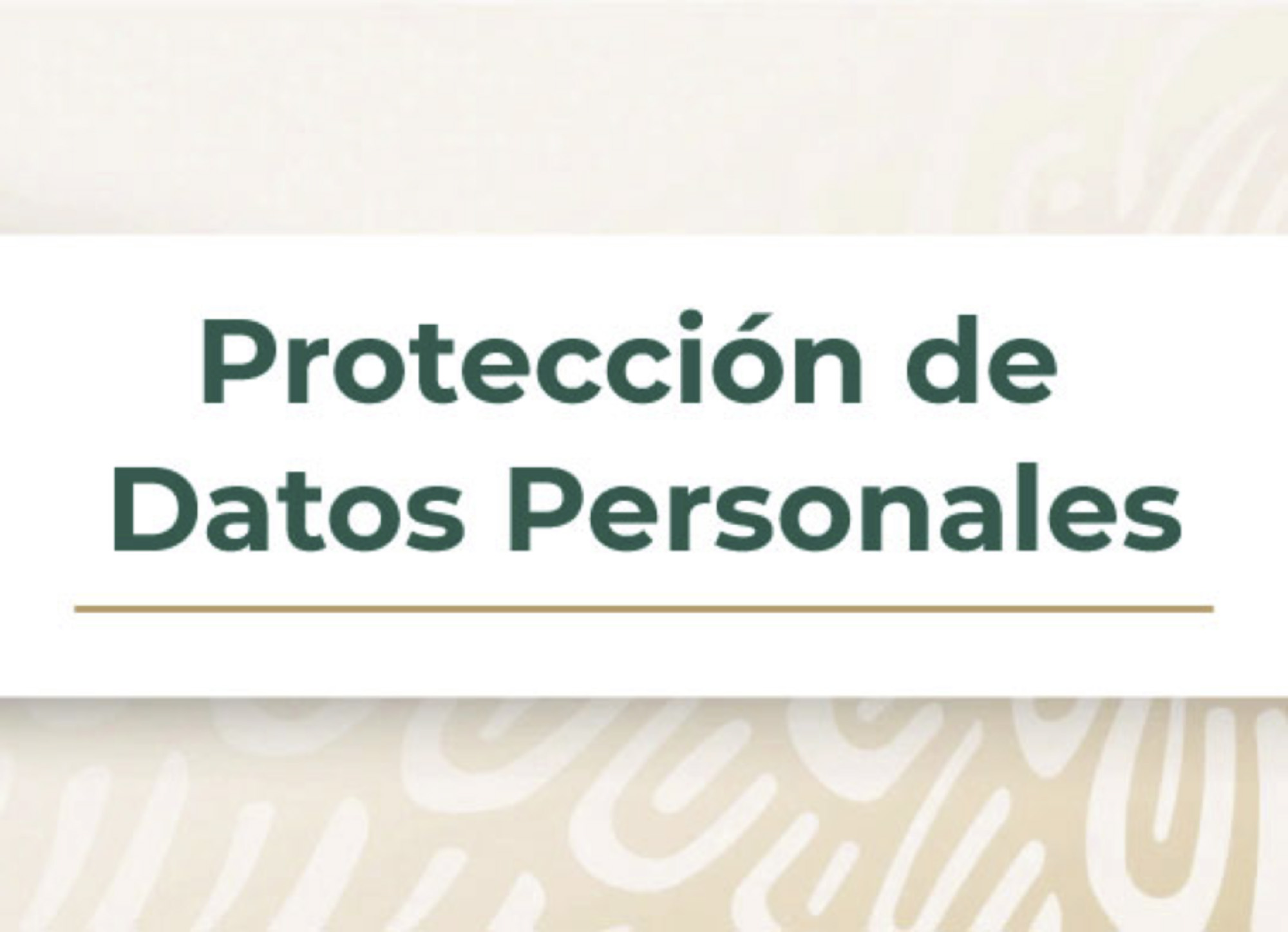 Protección de Datos Personales