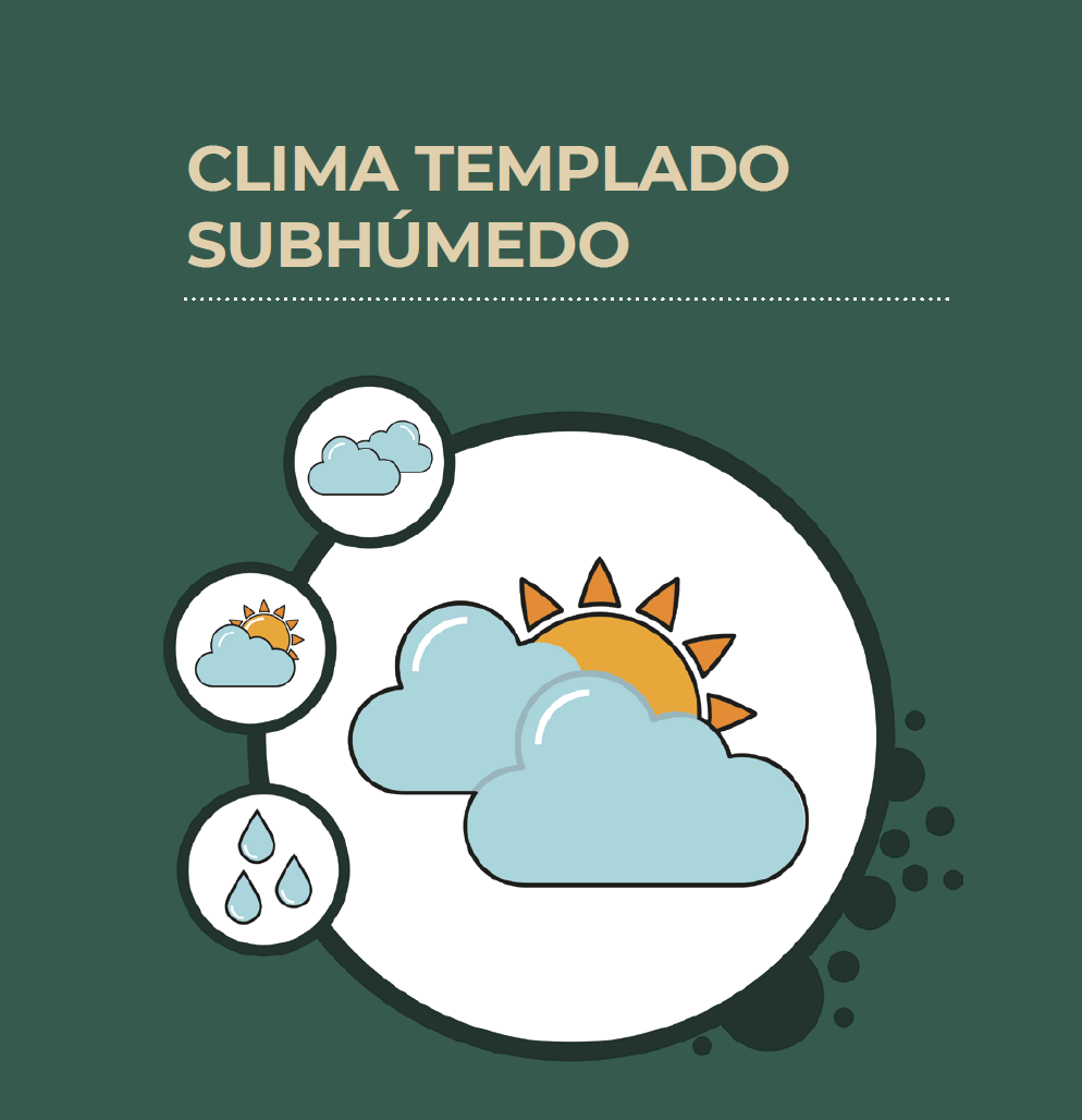 Clima templado - subhúmedo