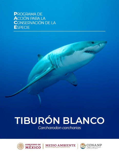 Programa de Acción para la Conservación de la Especie (PACE): Tiburón Blanco (Carcharodon carcharias) actualizado.