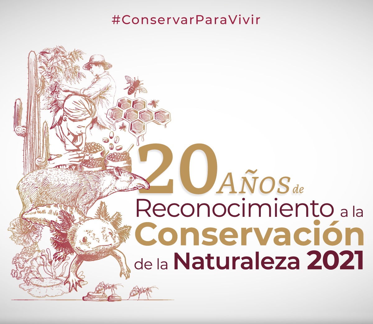 Reconocimiento a la Conservación de la Naturaleza 2021.