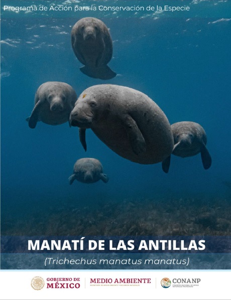 Programa de Acción para la Conservación de la Especie (PACE): Manatí (Trichechus manatus).
