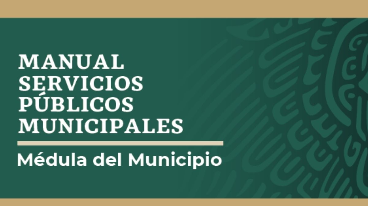 Manual de Servicios Públicos Municipales.