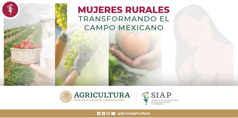 Mujeres Rurales, Transformando el Campo Mexicano