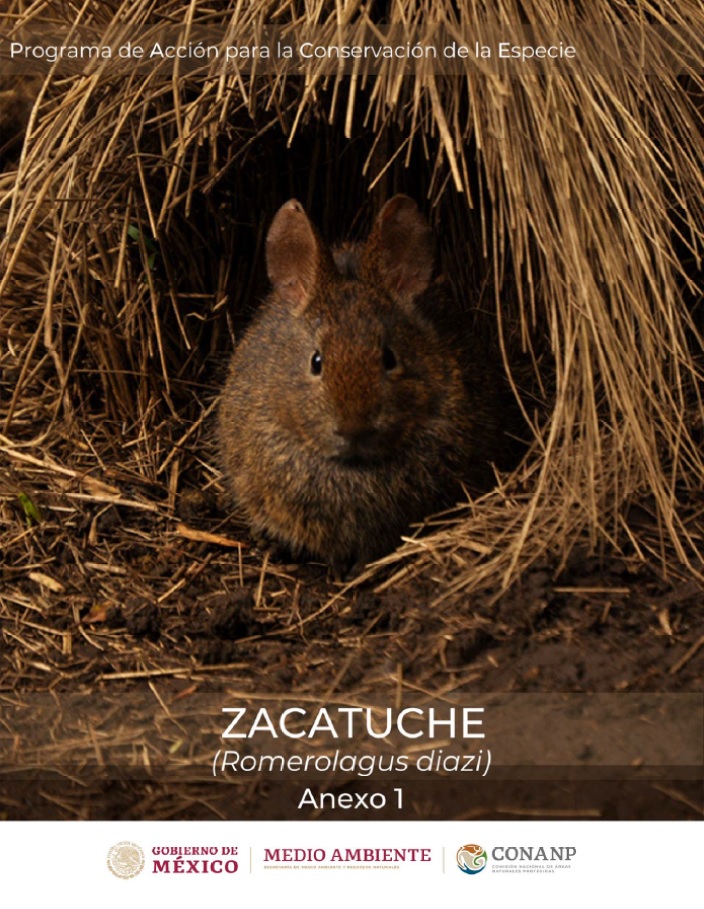 Anexo del Programa de Acción para la Conservación de la Especie (PACE): Zacatuche (Romerolagus diazi) actualizado.