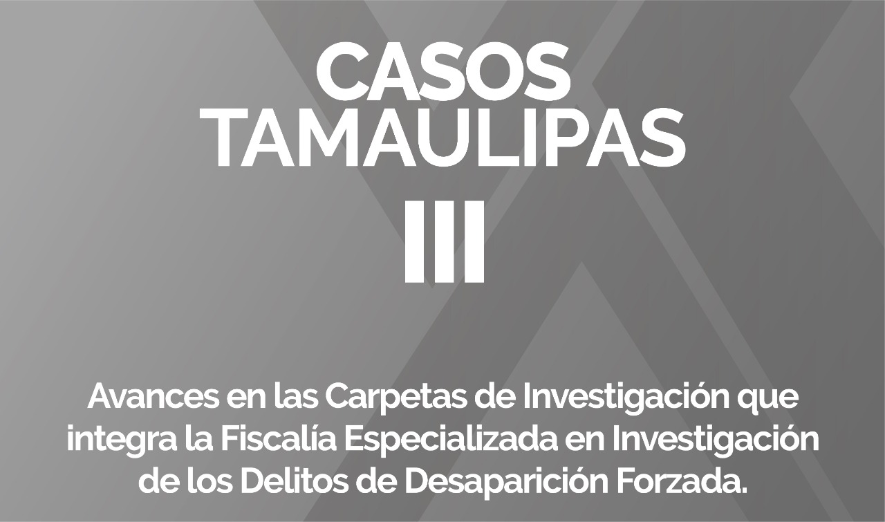 Casos Tamaulipas Avances III
