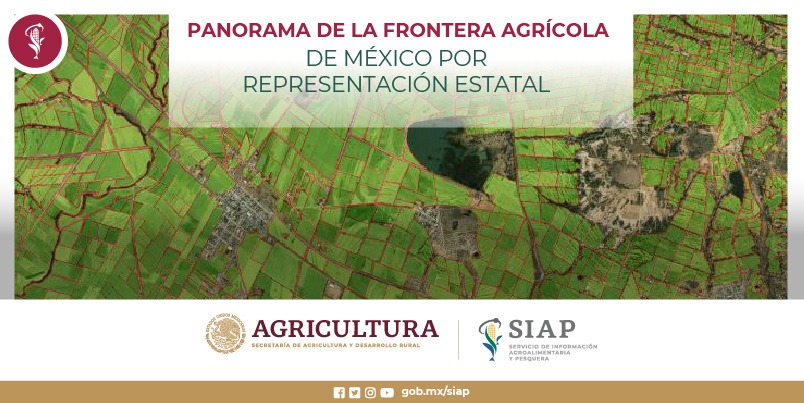 La frontera agrícola es el conjunto de terrenos con actividad agrícola más los terrenos que en los últimos 5 años tuvieron actividad y hoy se encuentran en descanso. 