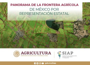 La frontera agrícola es el conjunto de terrenos con actividad agrícola más los terrenos que en los últimos 5 años tuvieron actividad y hoy se encuentran en descanso. 