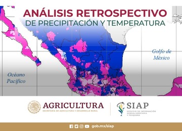 Análisis retrospectivo de precipitación y temperatura