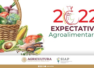 La Secretaría de Agricultura y el SIAP presentan las Expectativas Agroalimentarias 2022, un documento central para el diseño de estrategias en el desarrollo de los campos y los mares de México.
