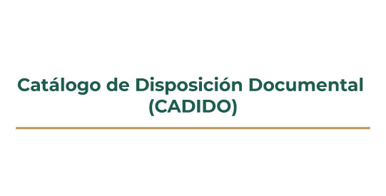 Catálogo de Disposición Documental (CADIDO)