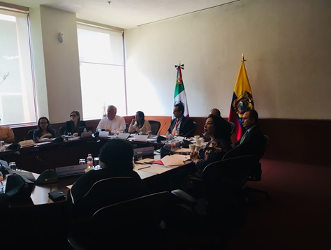Reunión con la Dra. Verónica Espinosa Serrano, Ministra de Salud Pública de la República del Ecuador