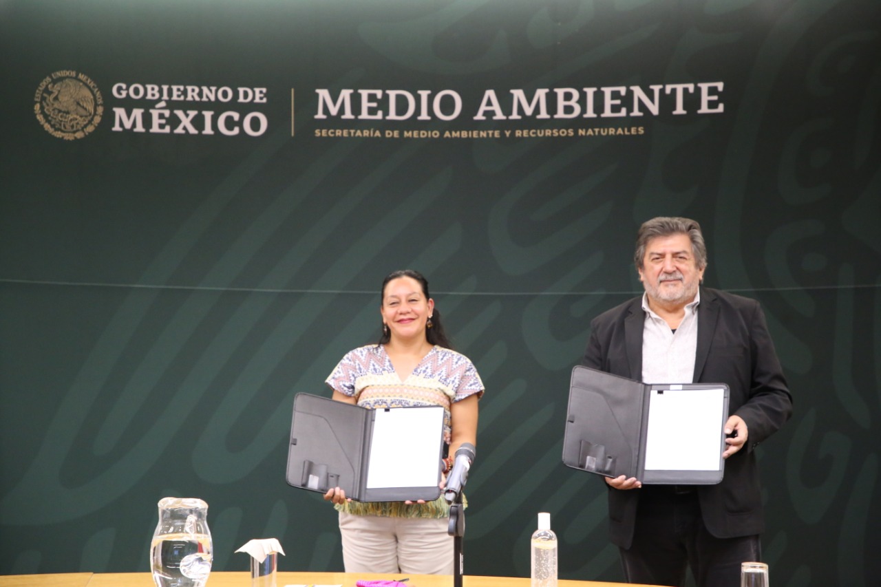 El gobierno de México trabaja en conjunto para hacer realidad el proyecto Tren Maya