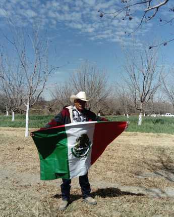 Cuando alguien diseñó la bandera mexicana, sin duda alguna, estaba pensando en el verde de los campos mexicanos. #ElCampoOrgulloDeMéxico