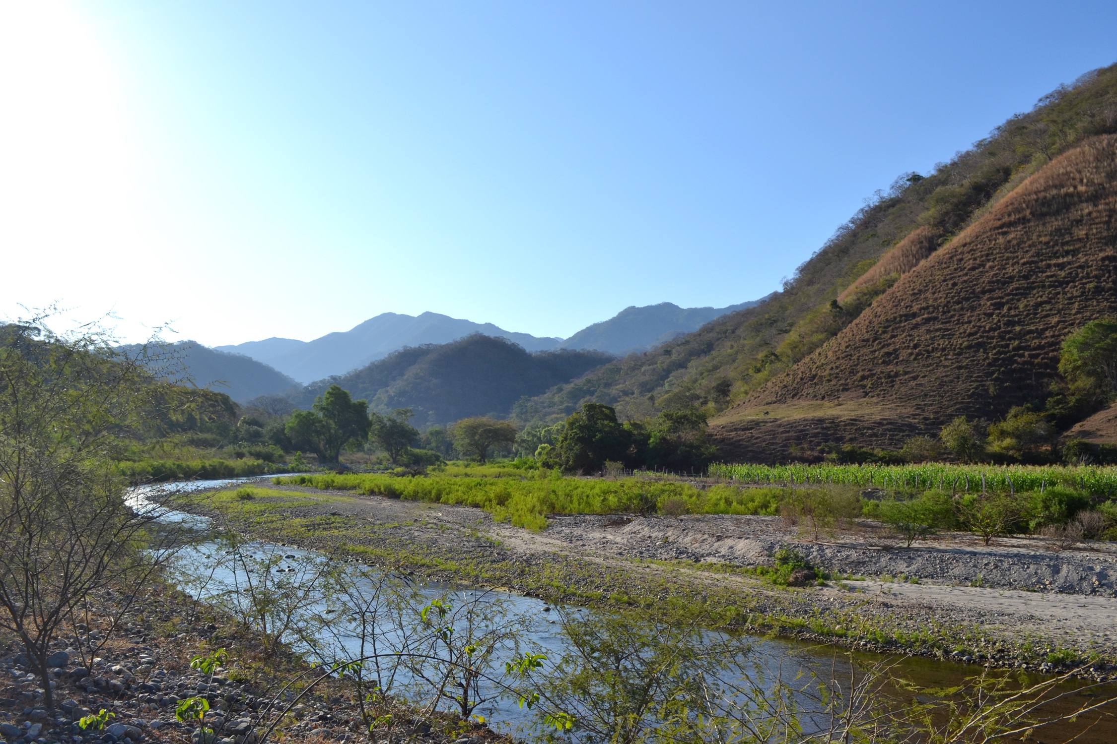 Suman 225,398 hectáreas a la protección de bosques y selvas que abastecen de agua a las comunidades de Bahía de Banderas y Puerto Vallarta