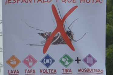 Suma de acciones en el combate de la transmisión del zika