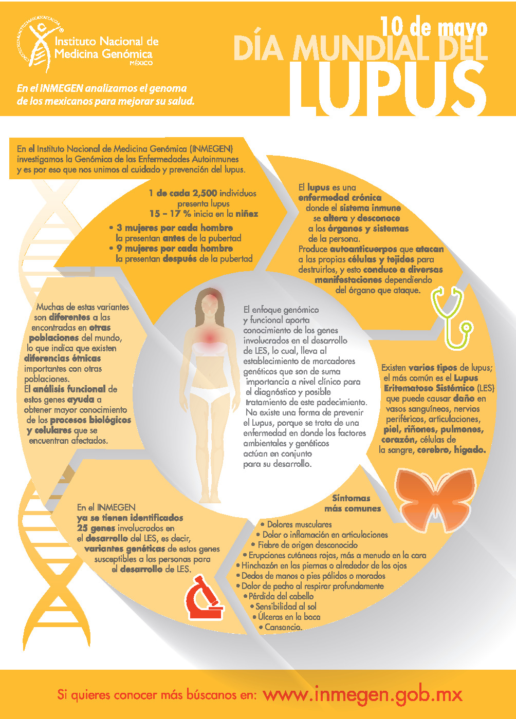 Infografía referente a Lupus compartido por Medicina Genómica