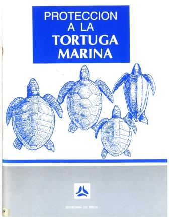Protección a la Tortuga Marina