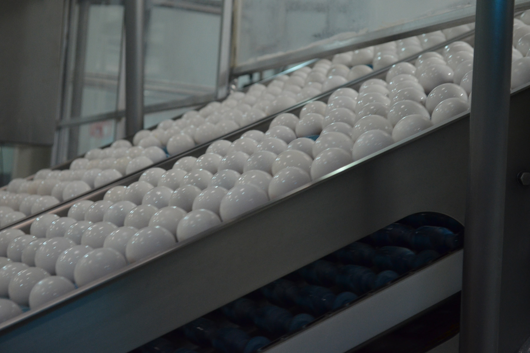 La producción nacional de huevo para plato durante 2015 fue de 2 millones 653 mil toneladas 
