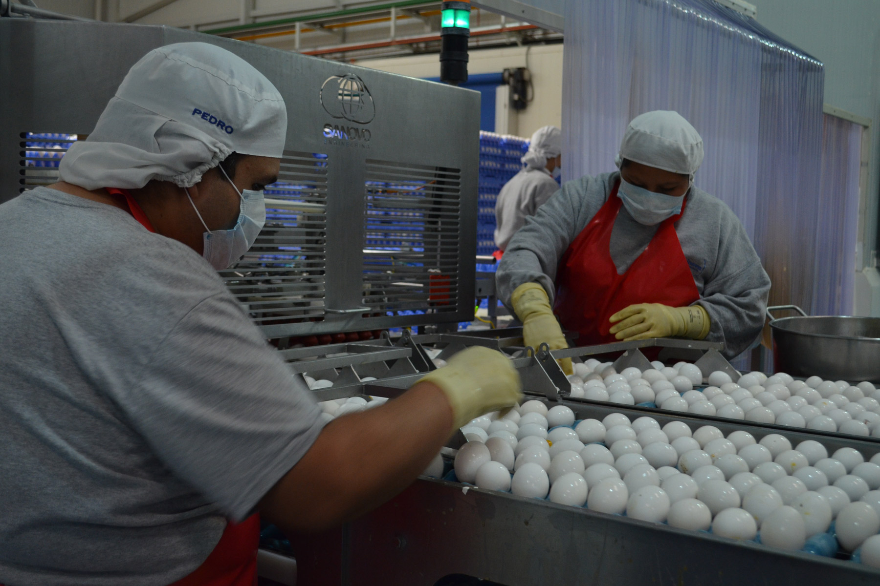 El 27.9% de la producción avícola en México corresponde a la producción de huevo para plato 