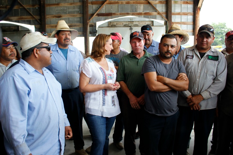 Encuentro con trabajadores agrícolas en el marco del programa de protección preventiva para trabajadores mexicanos.