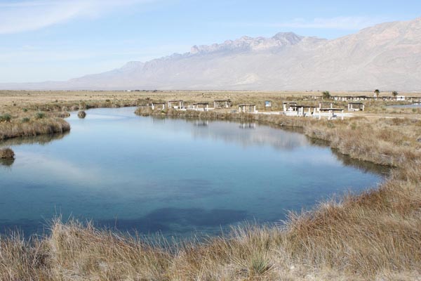 Celebran el Día Mundial de los Humedales en el Río Mezquites, sitio emblemático que forma parte del sistema de pozas y humedales de Cuatro Ciénegas, Coahuila.