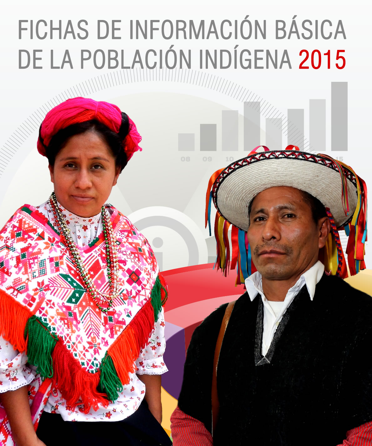 Fichas de Información Básica de la Población Indígena, 2015.