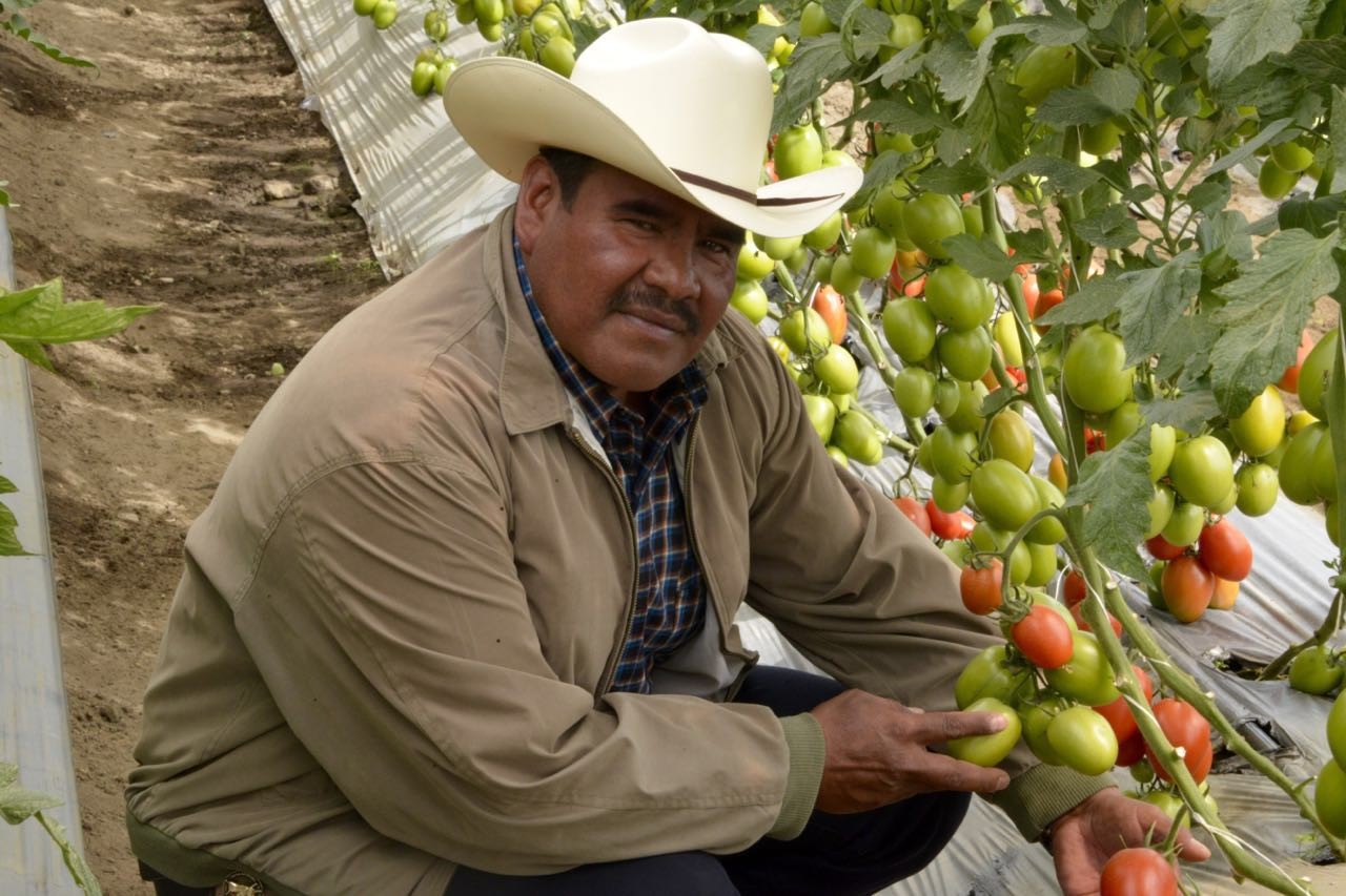 El agricultor mexicano Usiel Osorio Flores, quien formó parte del Programa de Trabajadores Agrícolas Temporales México-Canadá (PTAT).