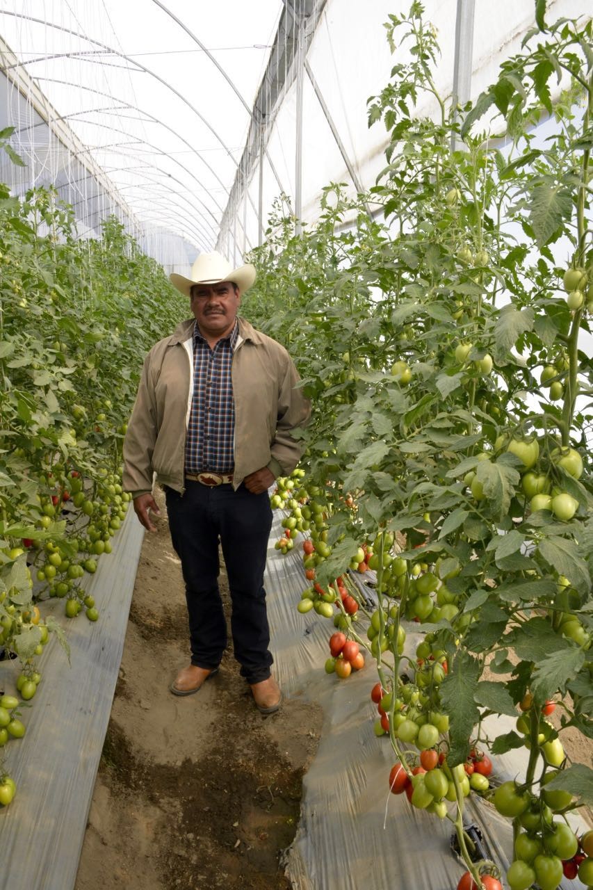 El agricultor mexicano Usiel Osorio Flores, quien formó parte del Programa de Trabajadores Agrícolas Temporales México-Canadá (PTAT).