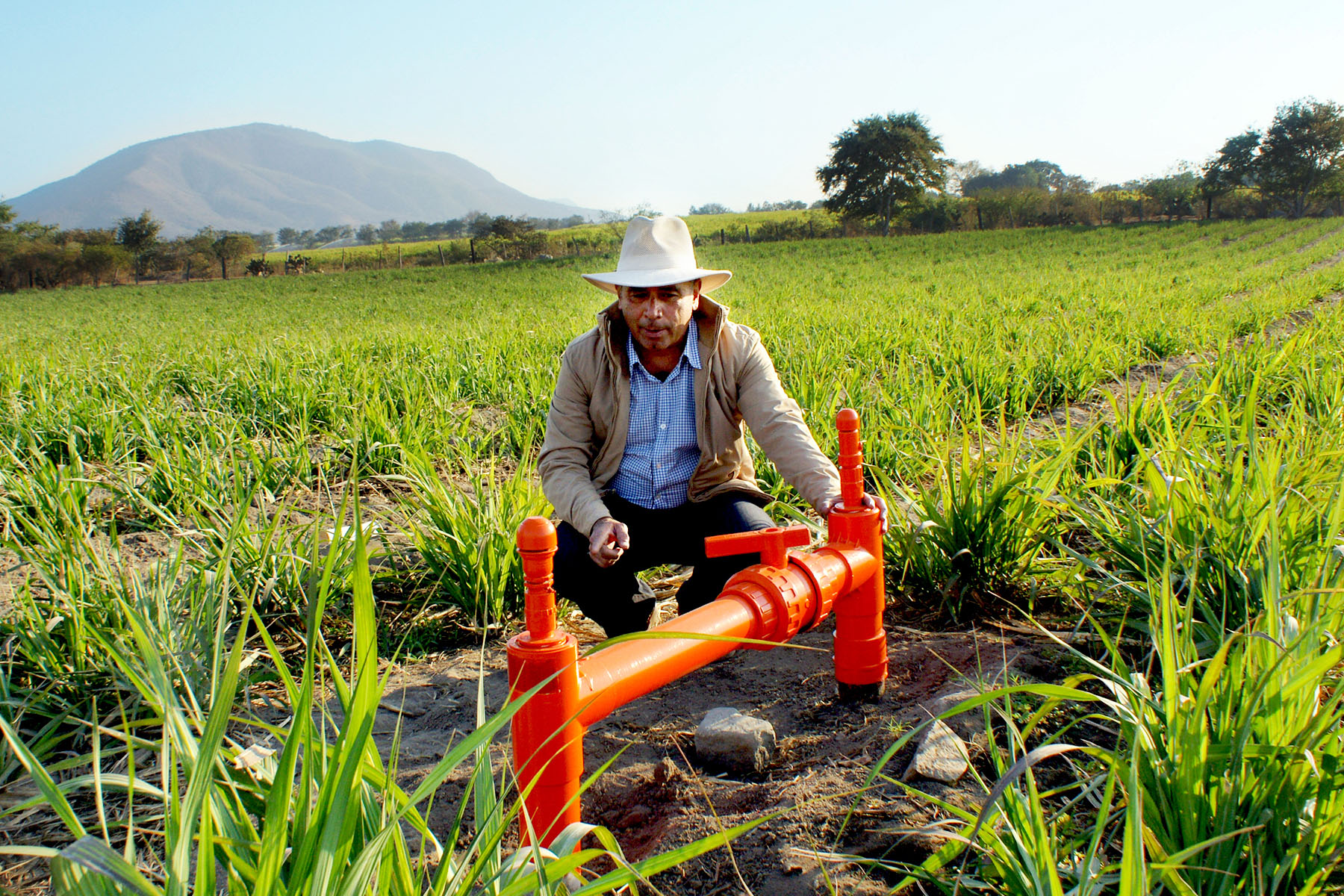 Sistema de riego en plantación de caña. Jalisco, México.