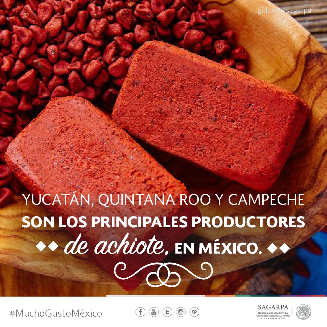 México produce 527 mil toneladas de achiote al año