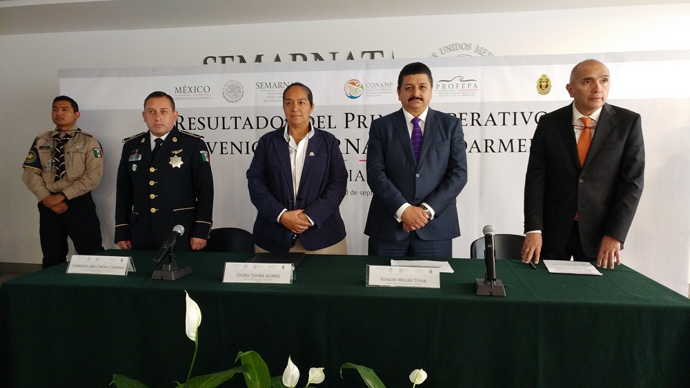 El primer operativo entre la PROFEPA, la CONANP y la Misión Ambiental de la Gendarmería, permitió la clausura definitiva de 3   aserraderos en la Reserva de la Biósfera de la Mariposa Monarca