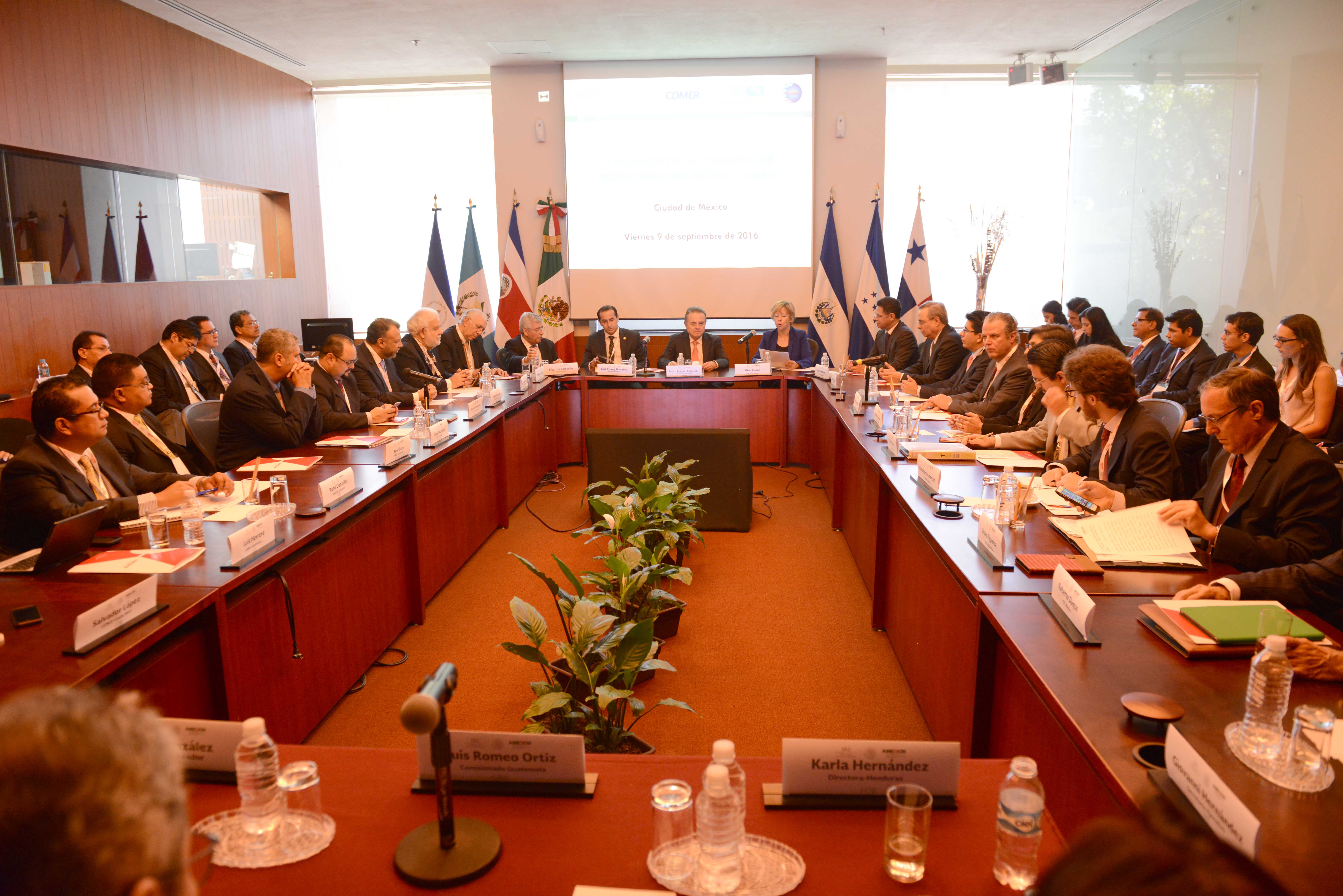 La creación de la CIEMS fue anunciada el pasado 4 de mayo en la Cumbre de Seguridad Energética EE.UU., Centroamérica y El Caribe. Por parte de México está conformada por autoridades de SENER, CENACE, CFE y AMEXCID, quien acompaña este proceso con el fin de dar seguimiento a los compromisos adquiridos en materia de integración eléctrica derivados de las Cumbres de Jefes de Estado y de Gobierno del Mecanismo de Diálogo y Concertación de Tuxtla.