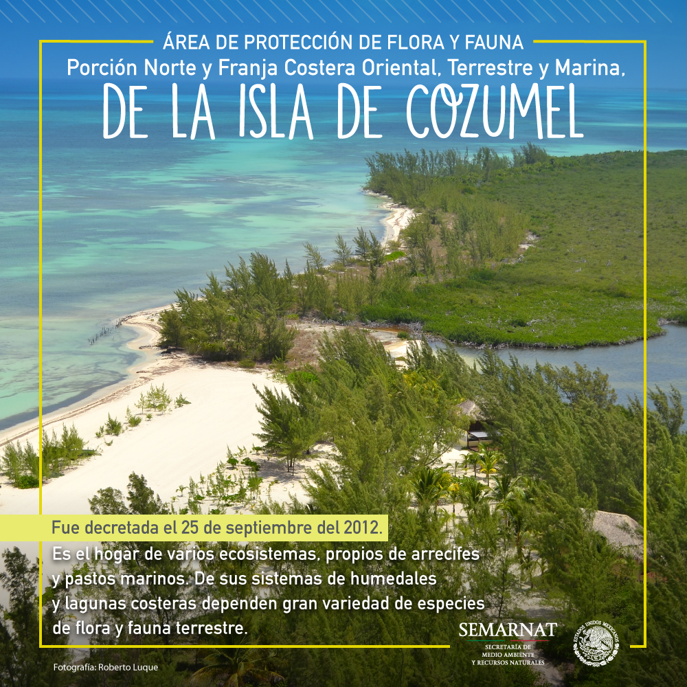 Isla de Cozumel, la más grande de México | Secretaría de Medio Ambiente y  Recursos Naturales | Gobierno 