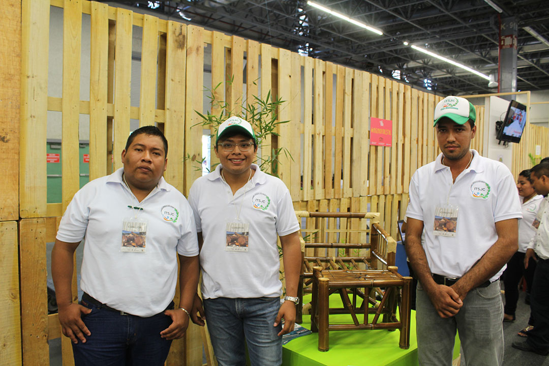 Grupo de emprendedores de Veracruz.