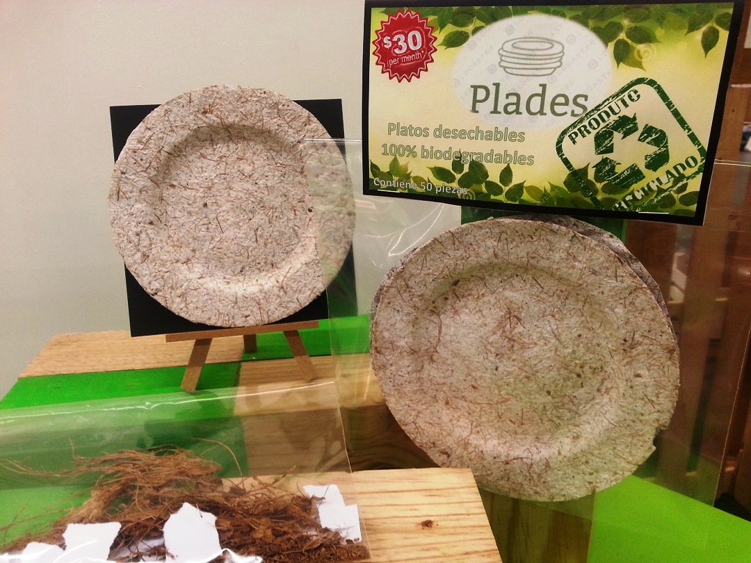 Bermad Demostrar Seminario Crean platos desechables biodegradables con fibra de coco | Comisión  Nacional Forestal | Gobierno | gob.mx