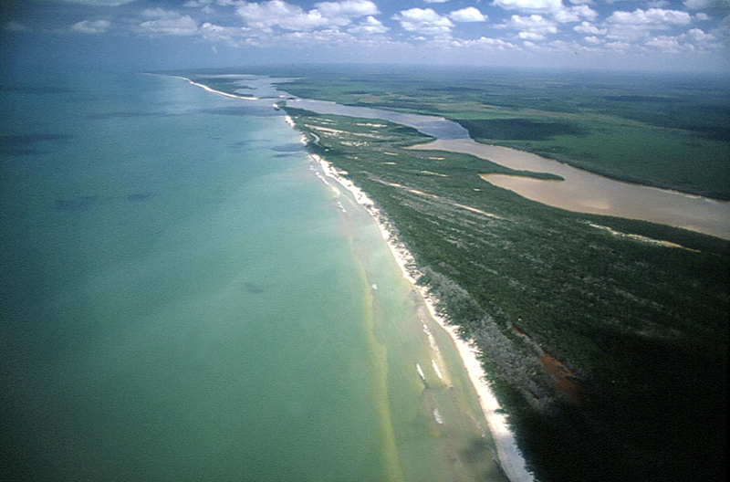 Playa adyacente a la localidad Ría Lagartos, Yucatán