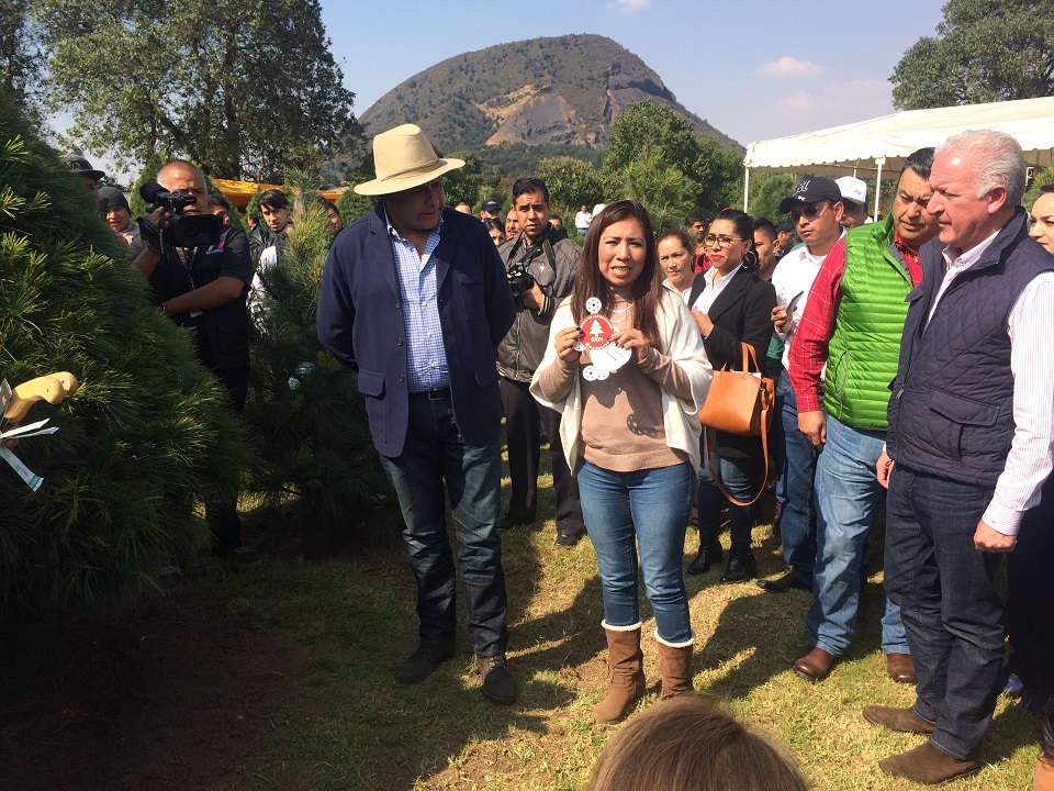 El secretario de Medio Ambiente del Estado de México, Raúl Vargas Herrera y el director general de la Comisión Nacional Forestal, Jorge Rescala Pérez, en cabezaron el inicio de la Campaña de Comercialización de árboles de Navidad en Tlalmanalco, Edomex.