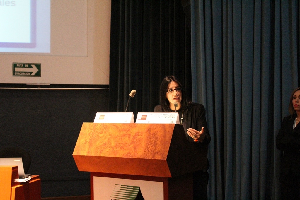 Elia Bárbara Lugo Delgado, directora general de Enlace y presidenta del Comité de Transparencia de la Policía Federal.