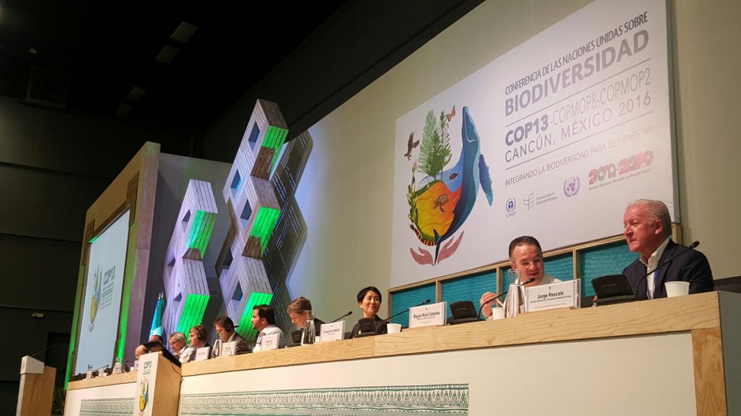 El secretario de Medio Ambiente y Recursos Naturales, Rafael Pacchiano Alamán, inauguró el Segmento de Alto Nivel de la 13ª Conferencia de Naciones Unidas sobre Biodiversidad.