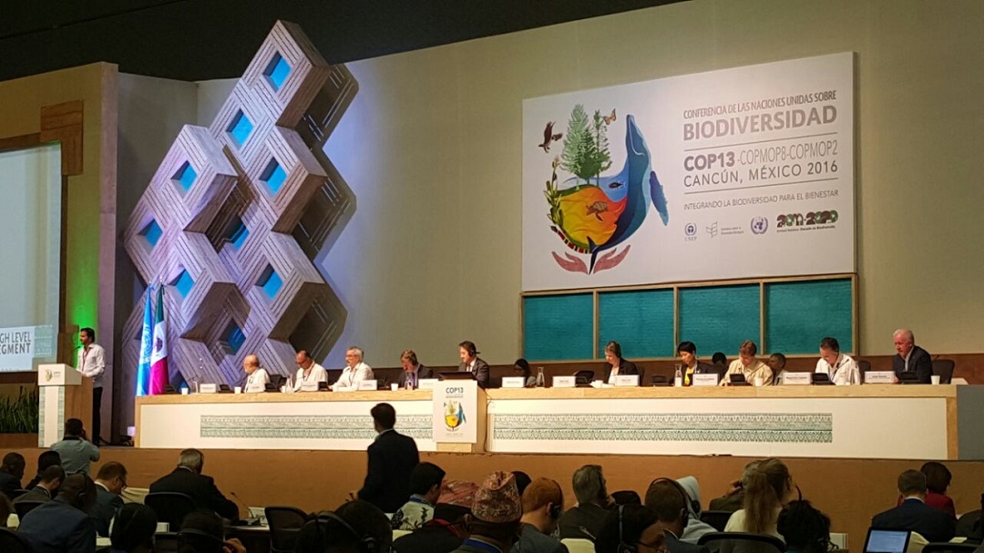 La COP13 es la Décimo Tercera Conferencia de las Partes en la que participan países que firmaron el Convenio de Diversidad Biológica (CDB). En esta ocasión reúne a ministros del medio ambiente de 196 países. 