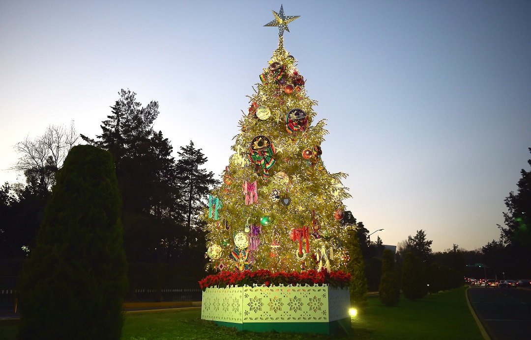 Desde hace unos días, el acceso a la sede del Ejecutivo Federal tiene un nuevo elemento que sorprende a los visitantes: un árbol de Navidad natural de 10 metros de altura.
