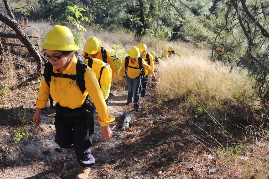Las 13 mujeres realizan tareas administrativas y logísticas en la Gerencia de Protección contra Incendios Forestales de la CONAFOR, en Zapopan, Jalisco. 
A finales de noviembre cuando iniciaron su formación para estar listas en el primer trimestre de 2017, cuando inicia formalmente la temporada de incendios.
La capacitación de esta brigada es parte del proceso de certificación de la Norma Mexicana NMX-R-025-SCFI-2015 en Igualdad Laboral y No Discriminación.
