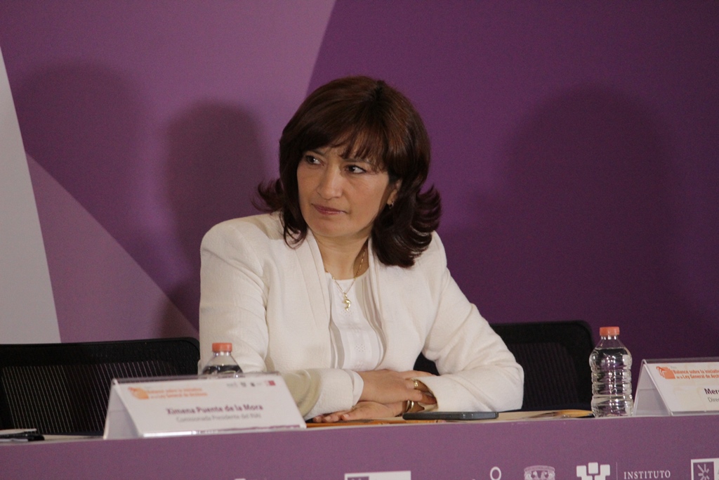 Areli Cano Guadiana, comisionada del INAI.