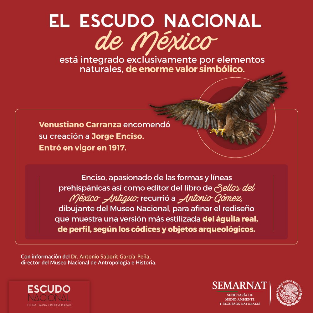 Y el águila real voló al escudo nacional | Secretaría de Medio Ambiente y  Recursos Naturales | Gobierno 