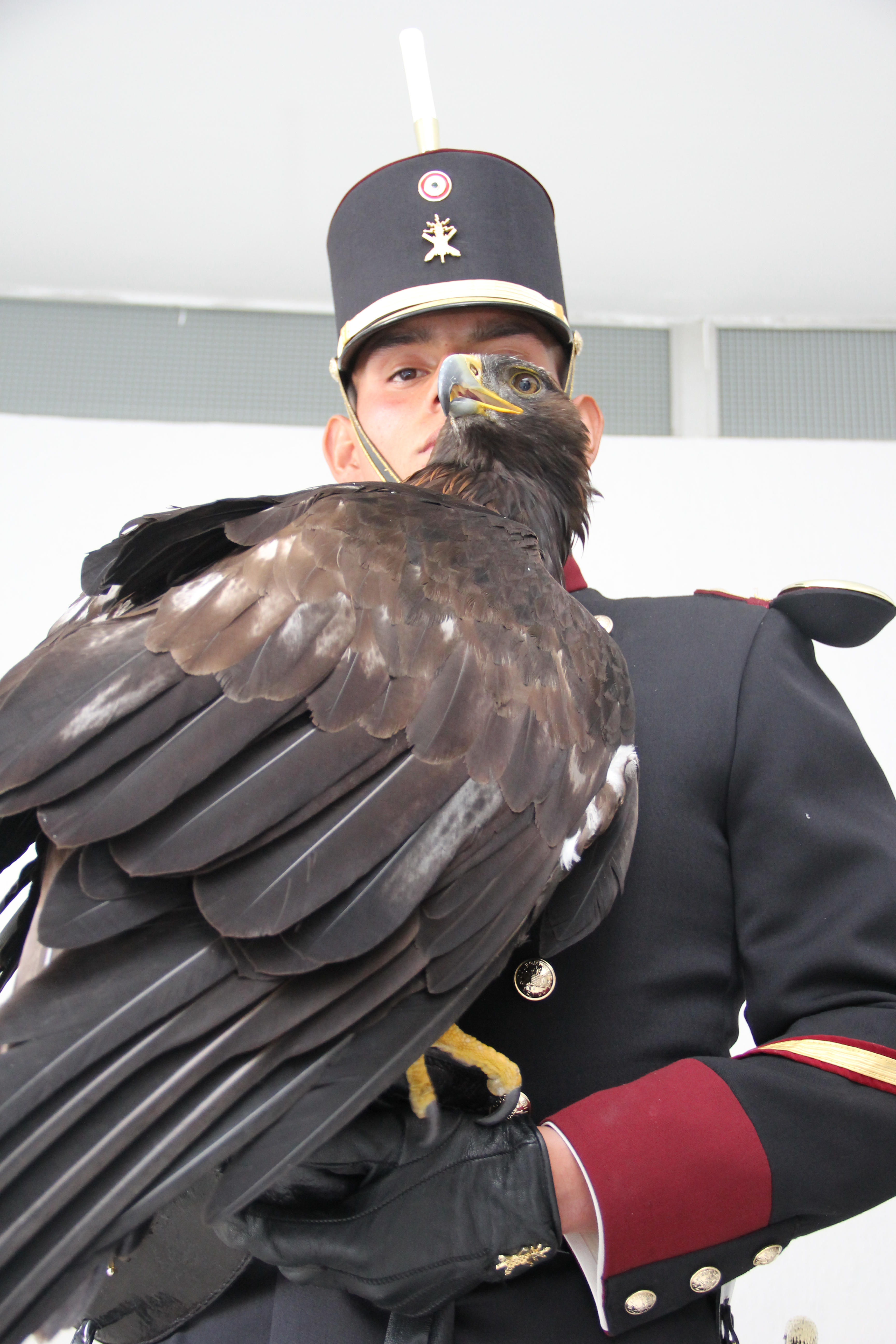 PROFEPA y SEDENA, en la celebración del Día Nacional del Águila Real, firmaron un convenio  que permitirá crear el “Centro Nacional de Control y Protección del Águila Real”, cuyo objetivo es la recepción, rehabilitación y liberación de ejemplares.