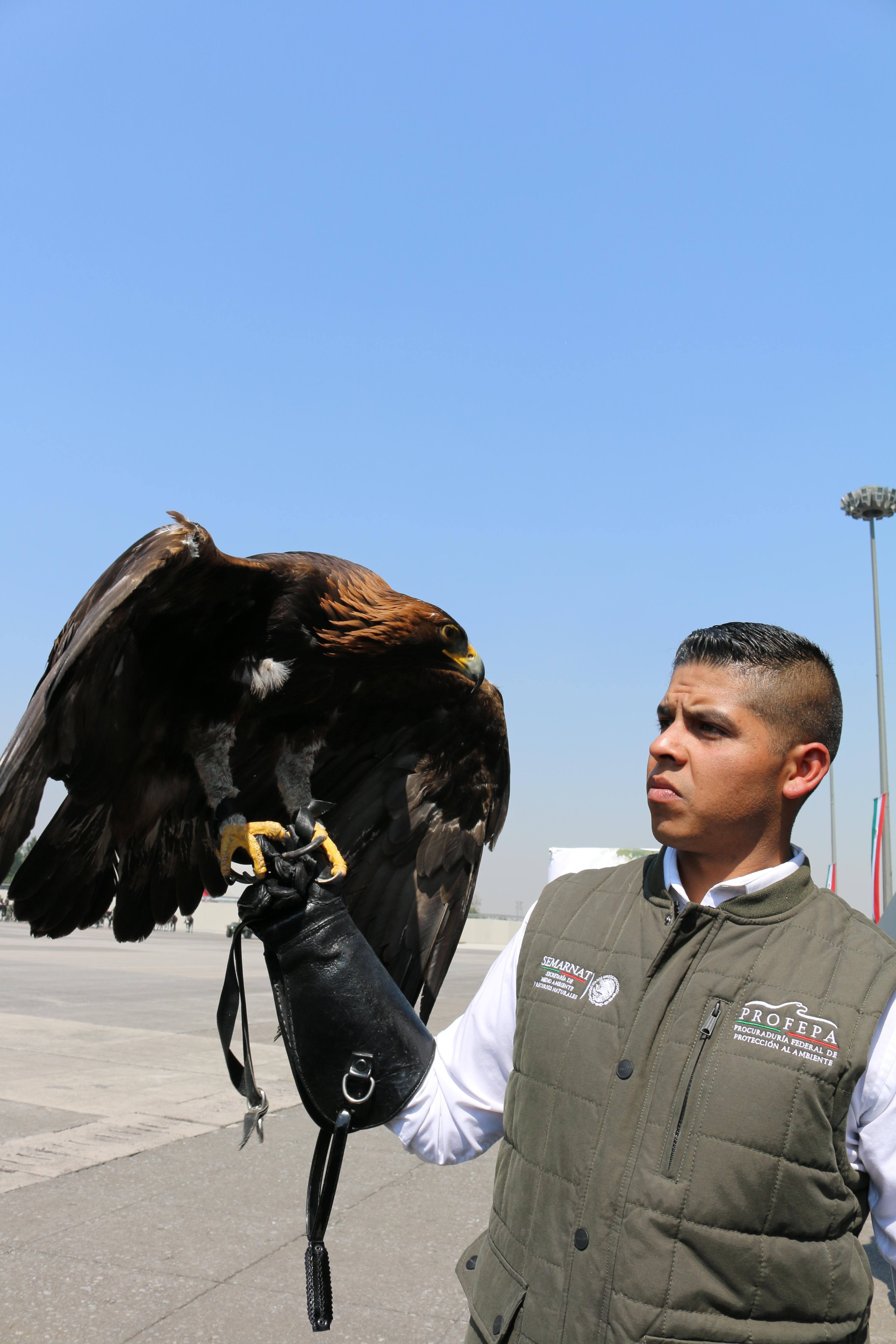 PROFEPA y SEDENA, en la celebración del Día Nacional del Águila Real, firmaron un convenio  que permitirá crear el “Centro Nacional de Control y Protección del Águila Real”, cuyo objetivo es la recepción, rehabilitación y liberación de ejemplares.